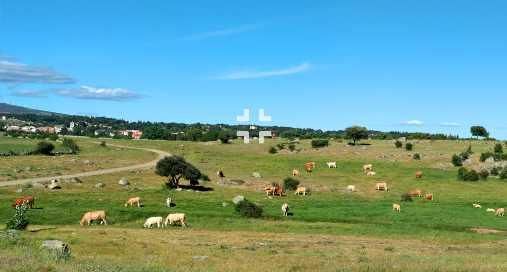 El Renacer de "La Atalaya" | Rehabilitación Edificio Centenario | Sierra de Gredos | Drékaro