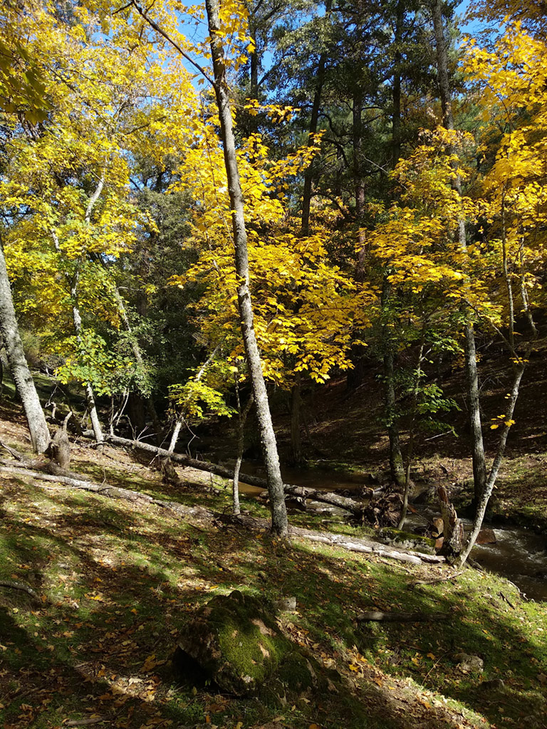 El Renacer de "La Atalaya" | Rehabilitación Edificio Centenario | Sierra de Gredos | Drékaro