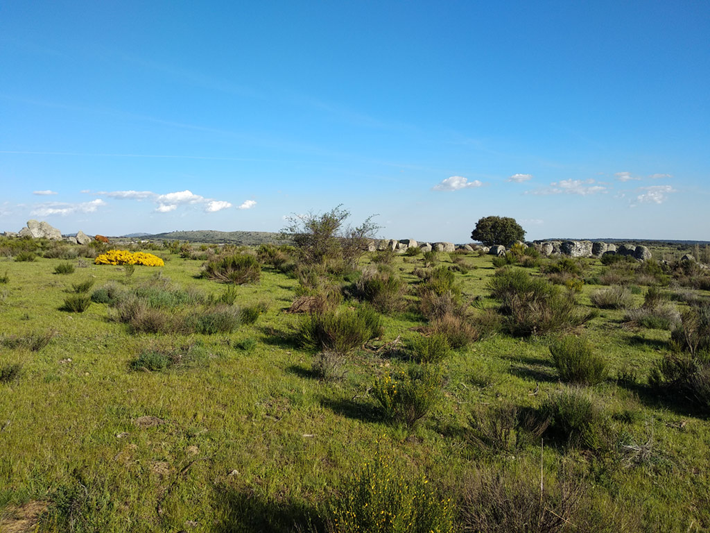 El Renacer de "La Atalaya" | Rehabilitación Edificio Centenario | Sierra de Gredos | Drékaro